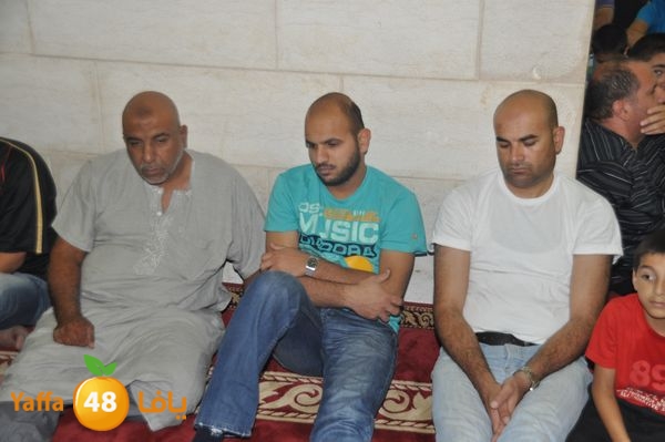 bazsalah lud 712 (11).JPG